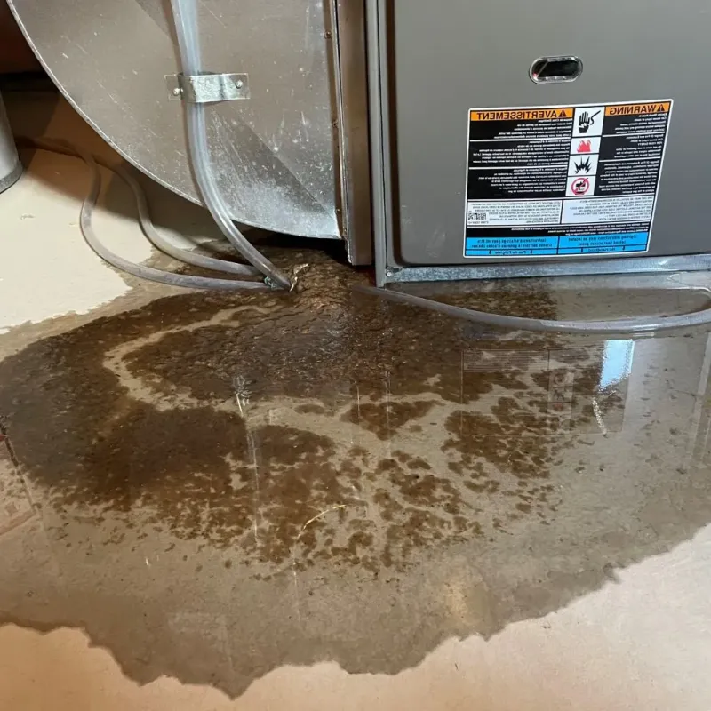 Pipe Burst and Leak Restoration in Manchester Center, VT